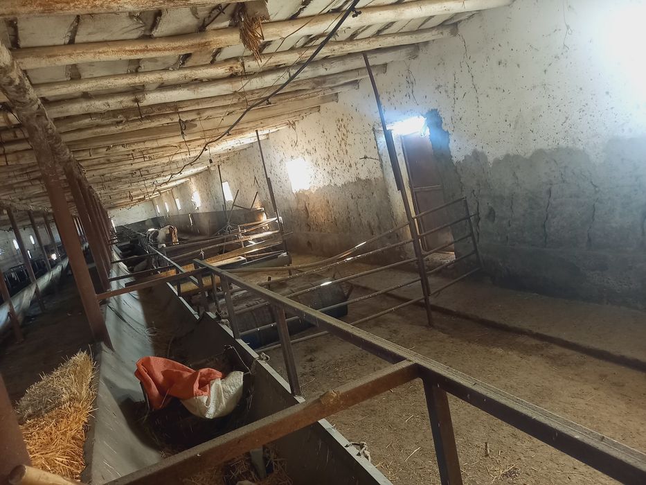 Молхона ва ишлаб чикариш учун бино