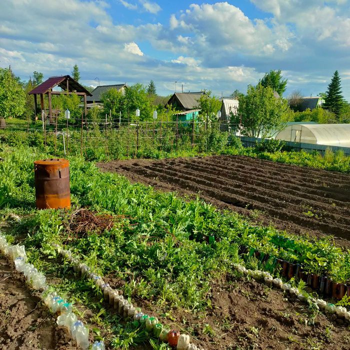 Продается дача, за с.Кожохово