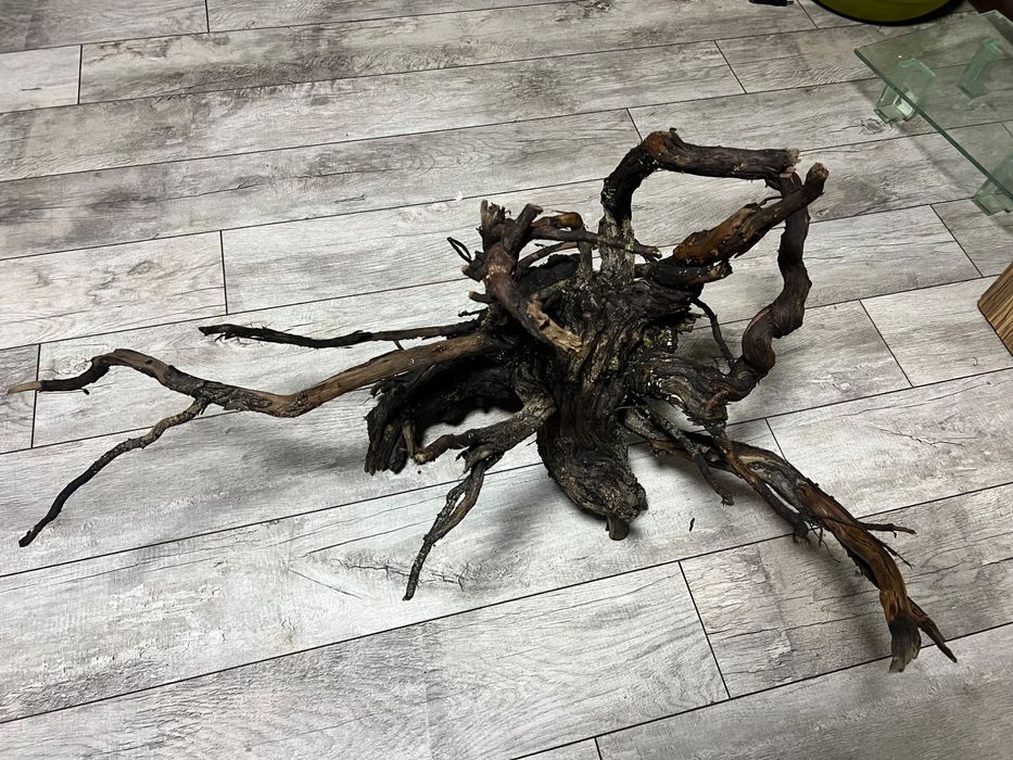 Коряга азалия в аквариум