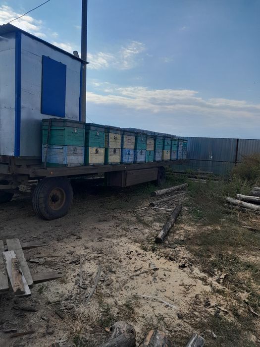 Телега пчеловодная