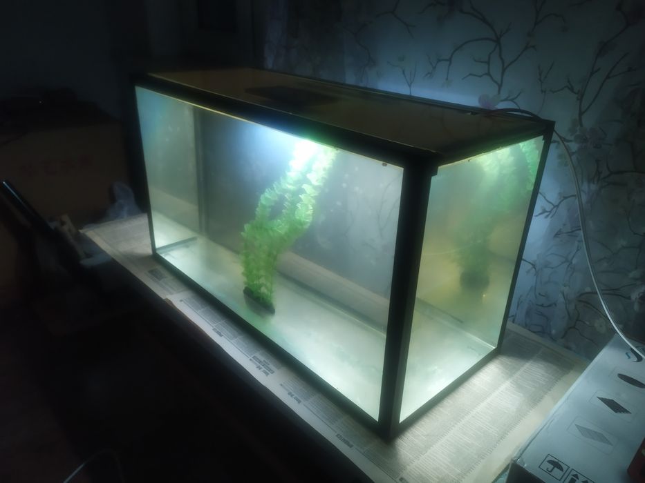 Аквариум 65л + бонусы и рыбки.