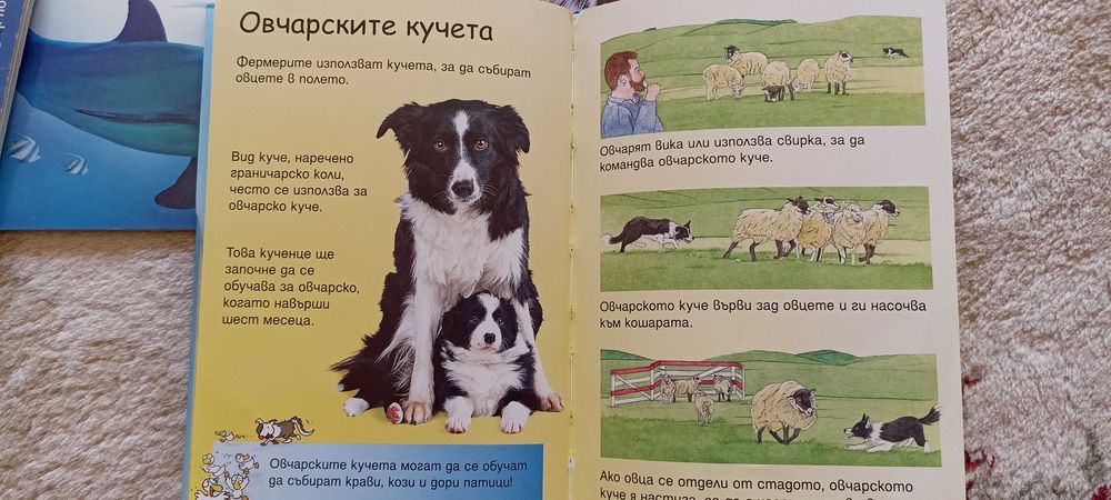 5 нижки енциклопедии за деца
