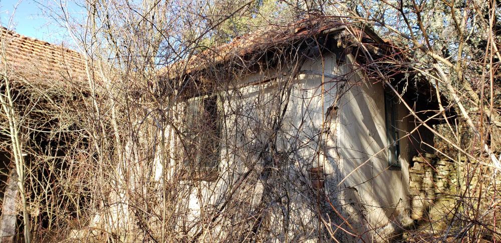 Голям имот с къща в село Поцърненци