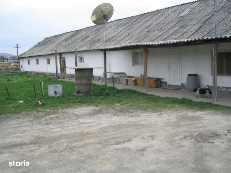 Teren intravilan de vânzare în Pâncota – 3.175 mp cu hale + 2.983 mp