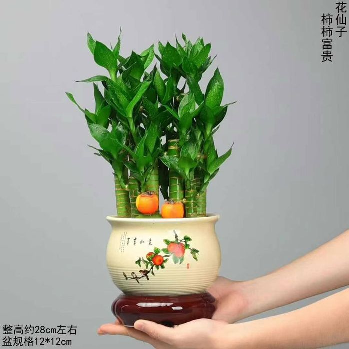 Tabiiy gullar табиий гуллар tuvaklar тувак гаршок  удабрения дорилар