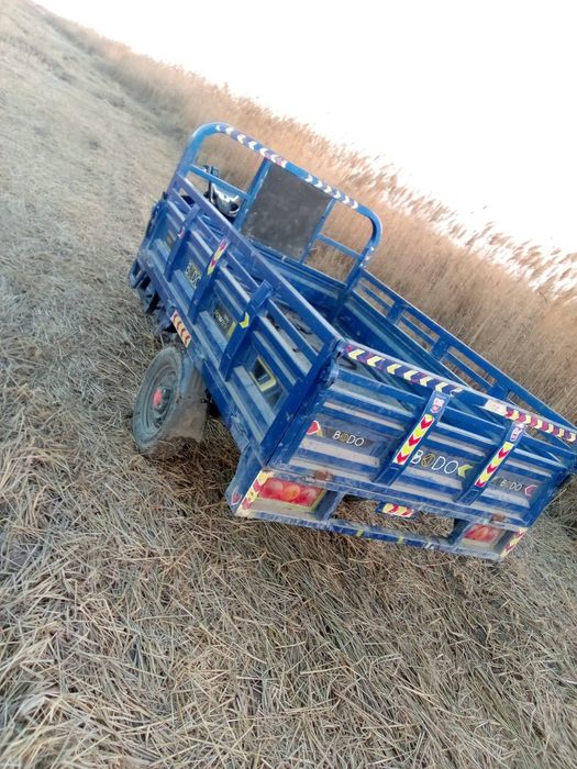 2022.08.чиккан.холати зур