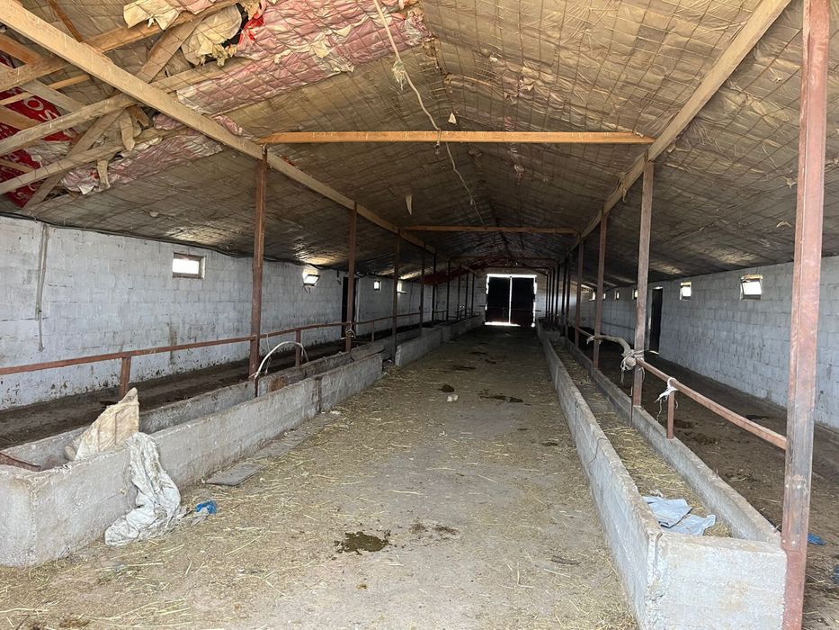 Продаестся КХ 1080 га в Жамбылском районе