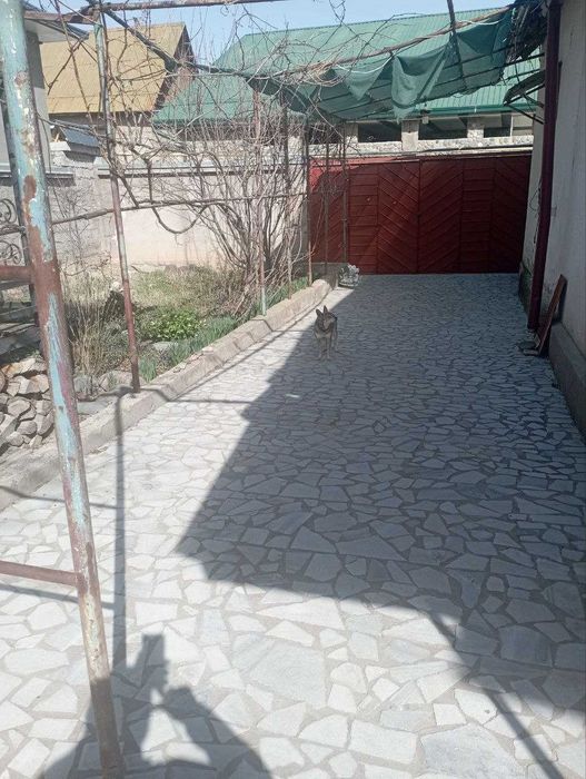 Продается дача бостанлыкский район