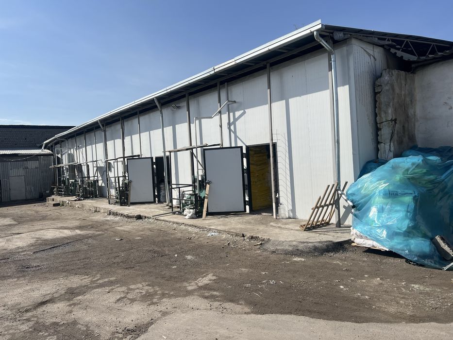 Аренда холодильная камера Куйлик