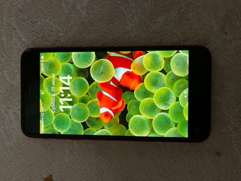 iPhone 8 Plus Ap