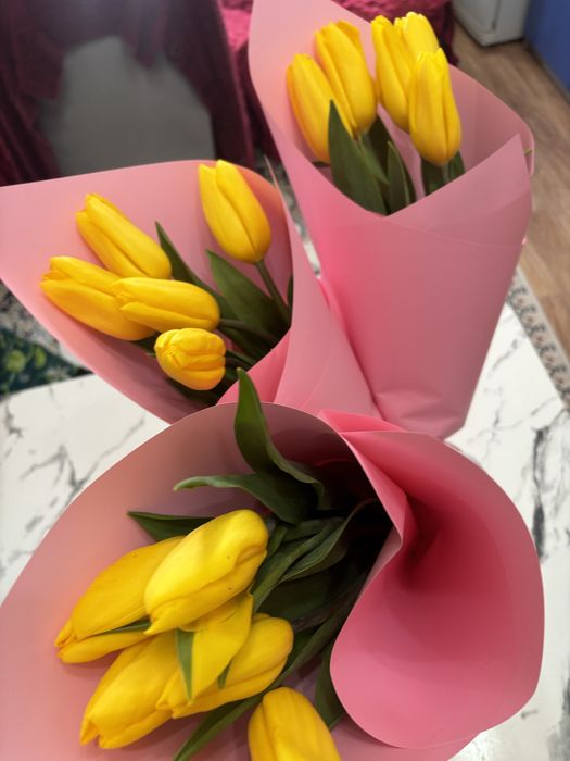 Продам  тюльпаны