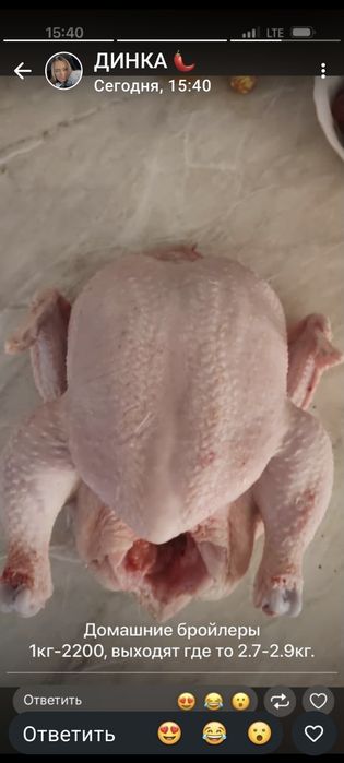 Тушки бройлерных курей
