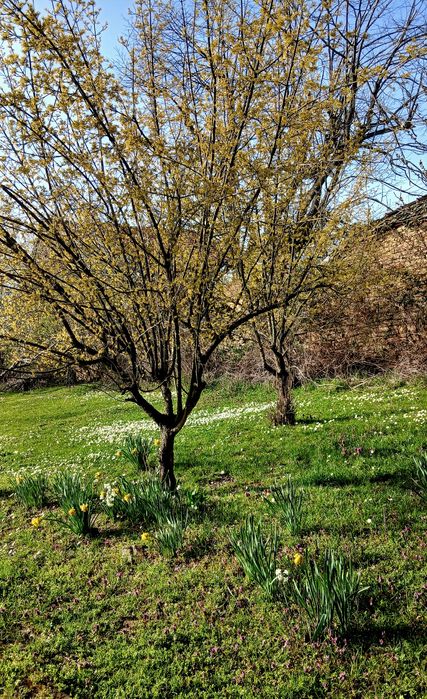 Киряковата къща с.Престой Трявна