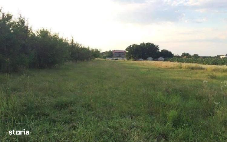 Teren de vanzare | Ciofliceni | Utilitati