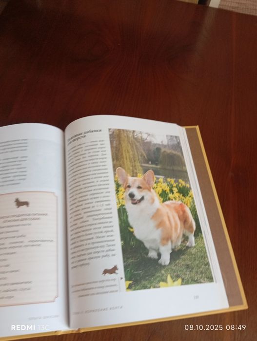 Книга влеколипные корги