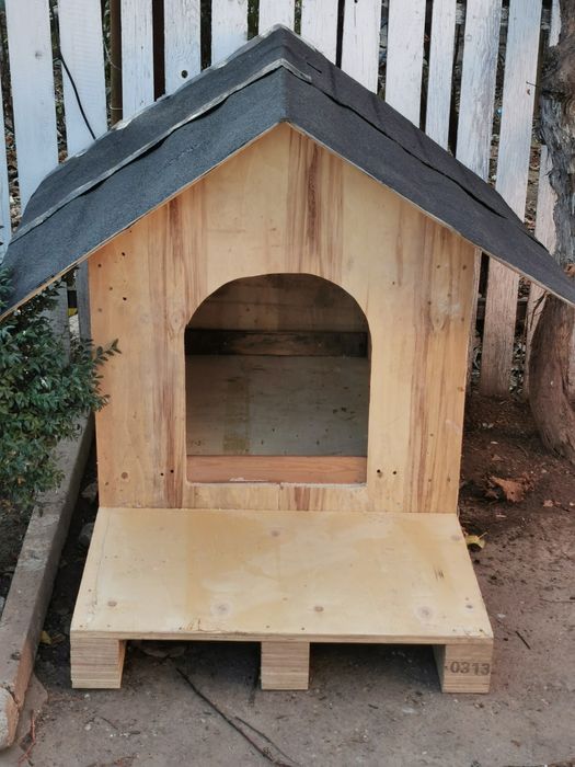 Incalzire cusca caini si pisici