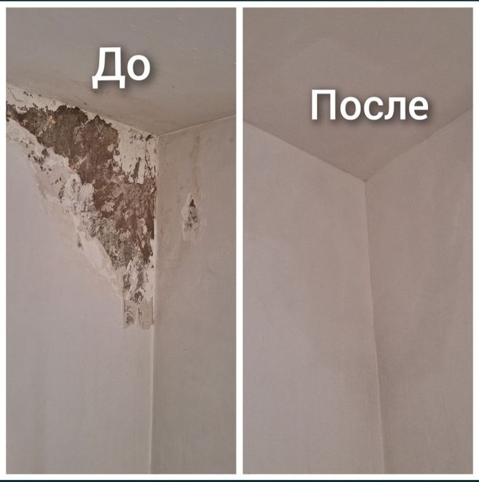 Левкас | Ламинат | Штукатурка