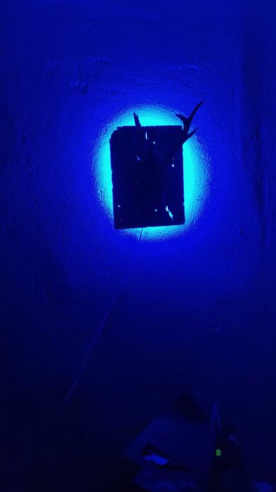 Трофей от сръндак