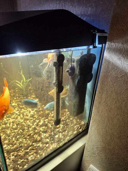 Аквариум 105 литров с рыбками