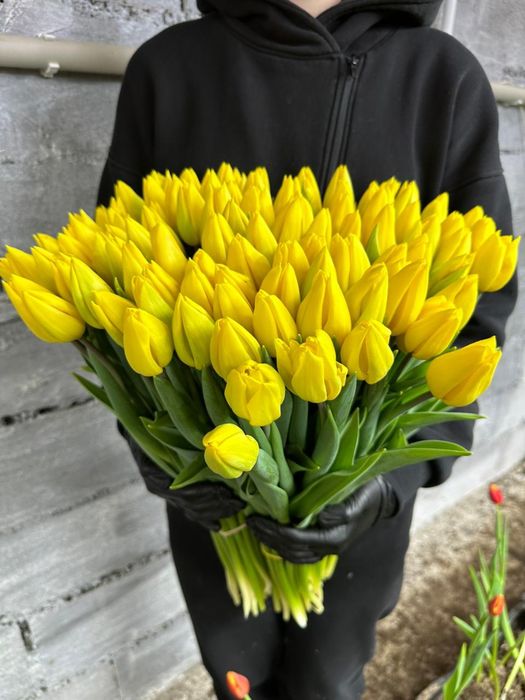 Свежие тюльпаны собственного производства