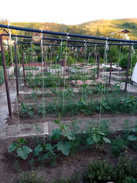 СРОЧНо. Срочно ТОРг