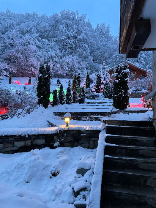 Къща за гости Робин Худ