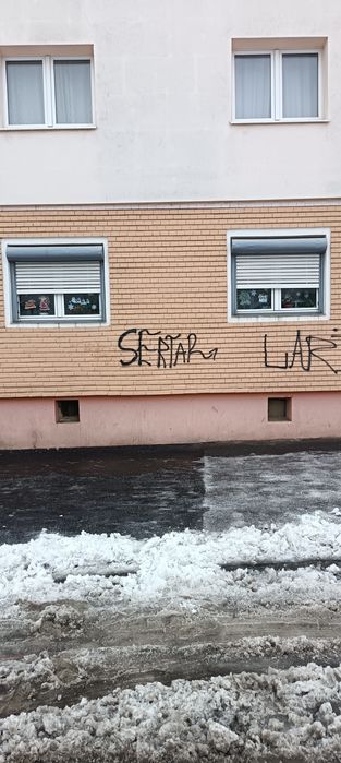 Geamuri termopan cu jaluzele