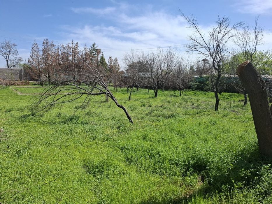 Продается дом 15 соток дача тойтепа, нурафшан, ташморе