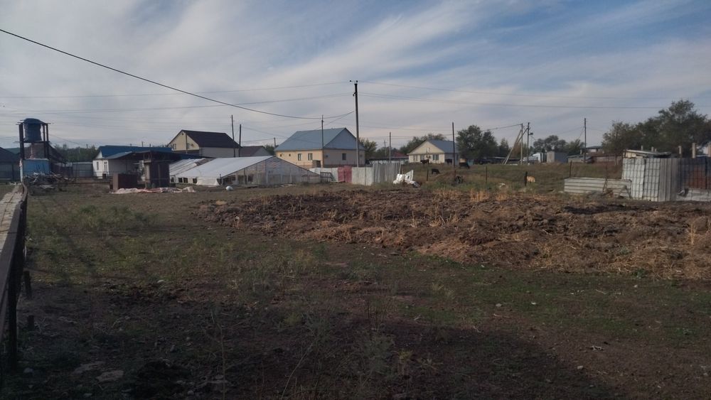 Дом, 50 соток земли.