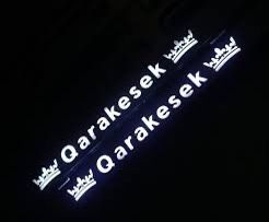 Именные LED подномерники