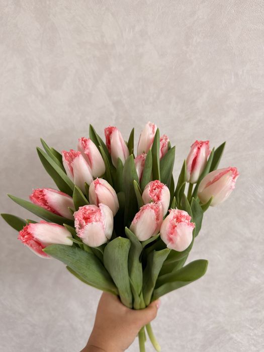 Премиум тюльпаны