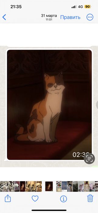 В добрые руки