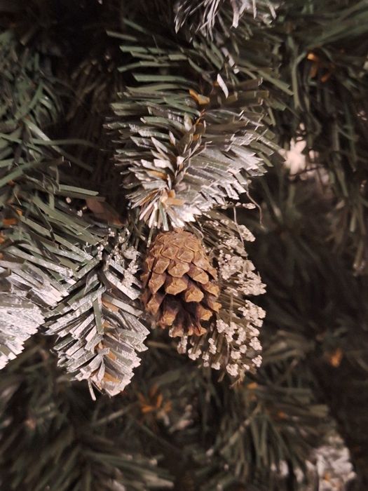 Vand brad artificial