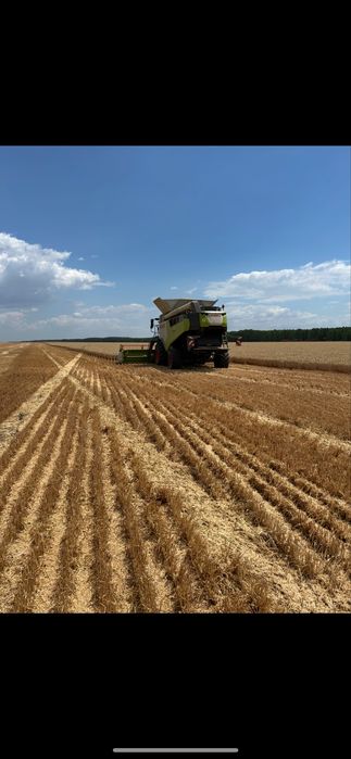 Prestari servicii agricole de recoltat,grau,floarea soarelui,porumb