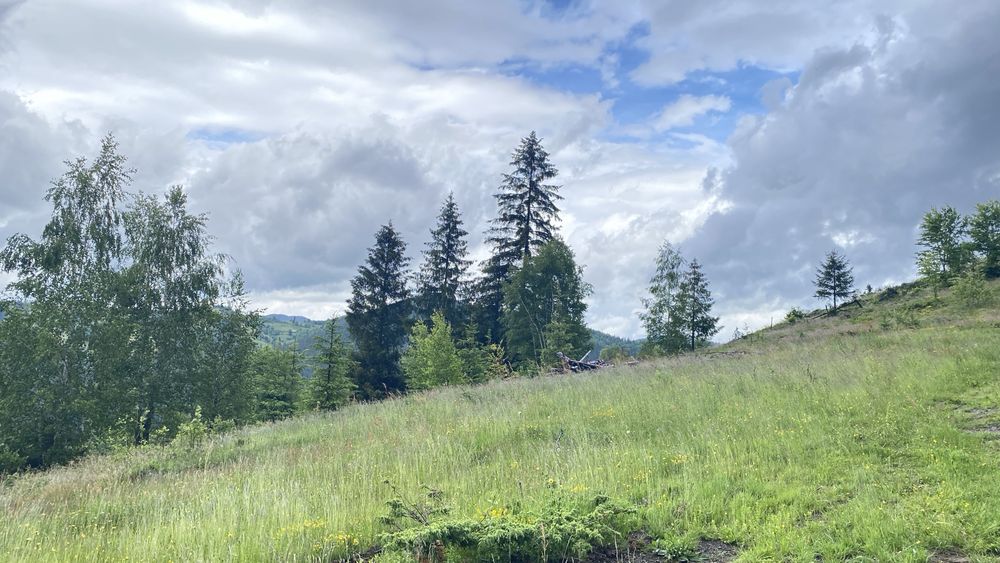 Vând teren extravilan 30.000 mp (3 ha)- Gârda de Sus, Alba