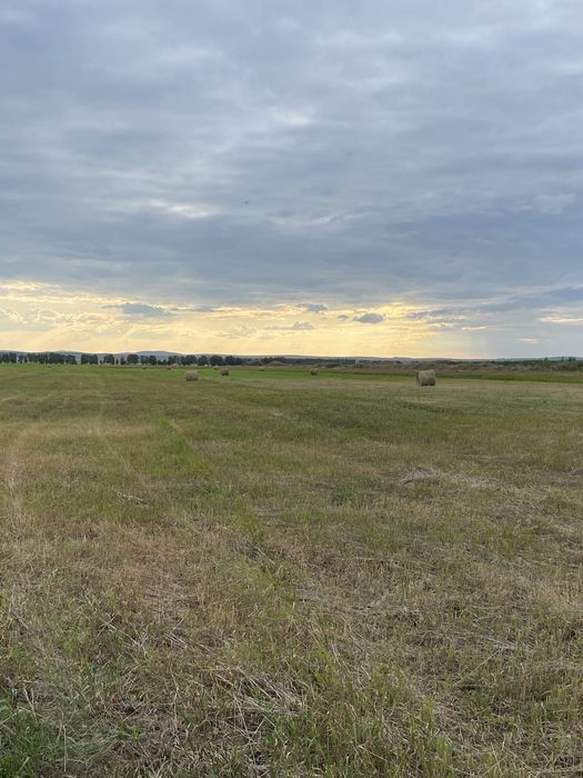 Сено в Рулонах Плотно напресованное