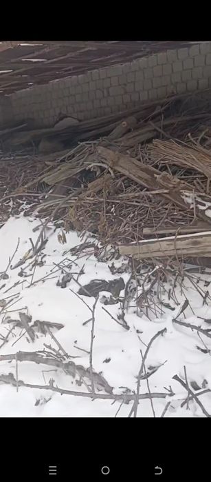 Hammasi 3mln tegda hali kop bor kelshtrb beramz