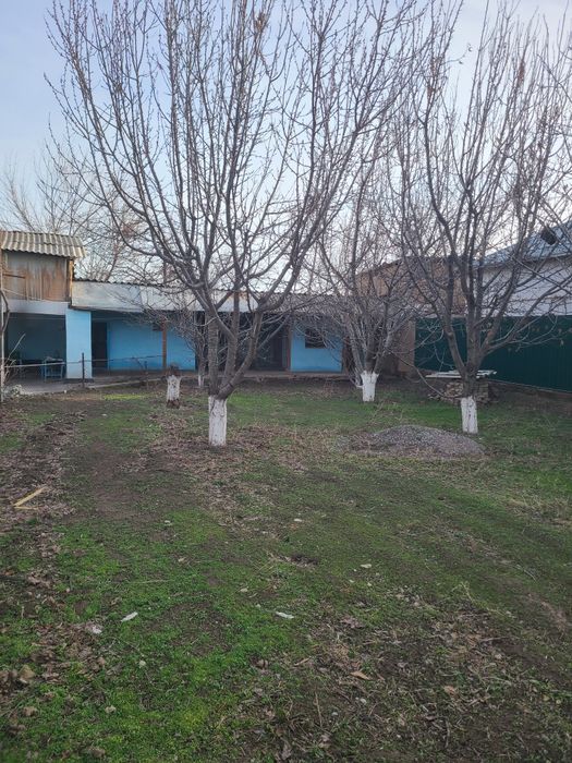 Срочно азадбашда ховли уй сотилади.