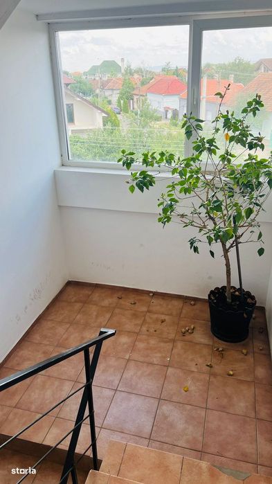 Apartament 1 camera de inchiriat in Gradiste