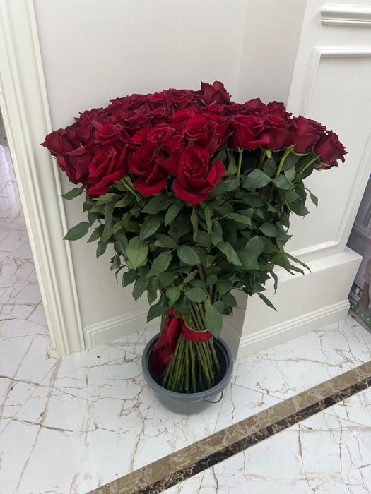 Красные метровые розы 51 шт