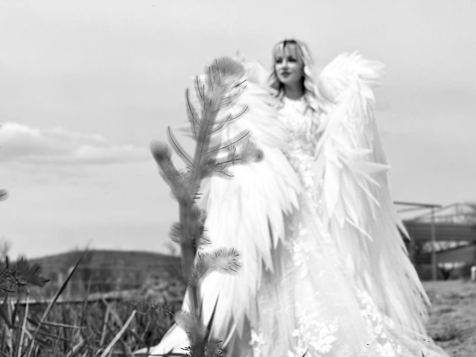 Очень красивые крылья ангела