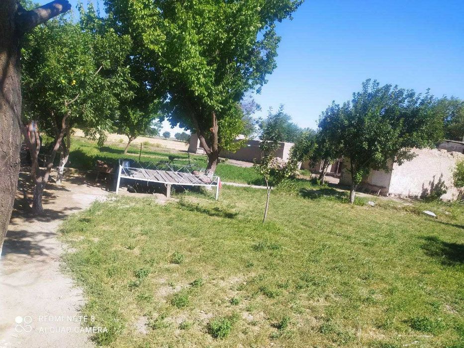 Sho'rko'l yaqinida joylashgan Uy va 50+ so'tig'li maydon