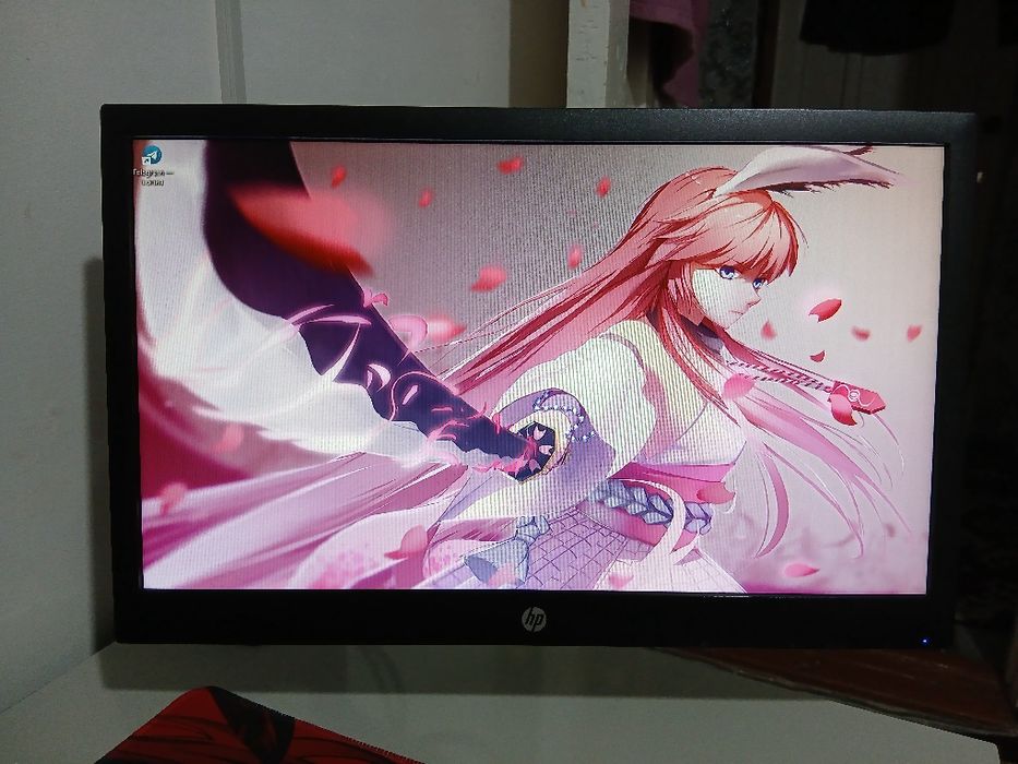 Монитор 19 hp v197