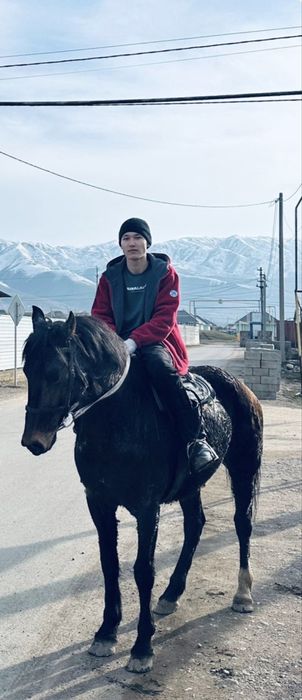 Продам срочно кокпар ат