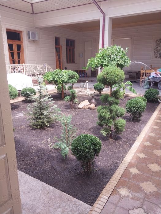 Gazon ekish lanshaftni dizayin asosida ekish respublika boʻylaf