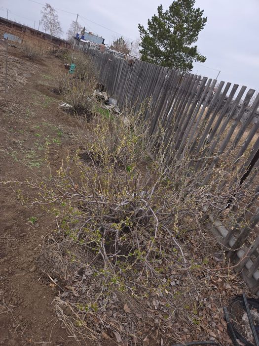 Продам дачу на Союзе