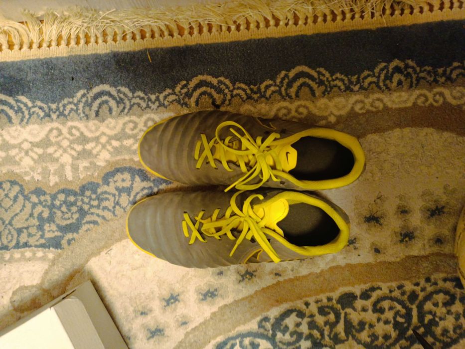 Сороконожки темпо