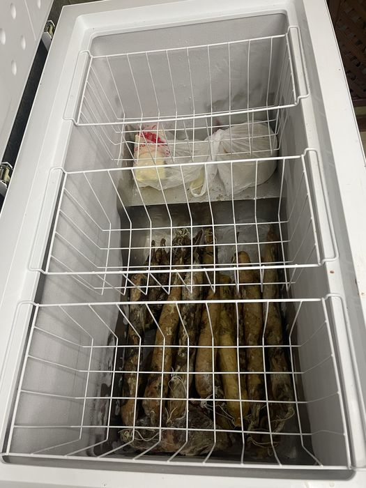 Продам Морозильник