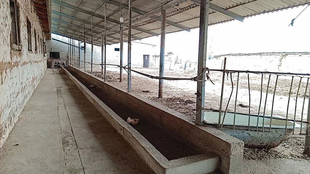 Ферма сотилади 1.27 Гектар Таёр Бизнес