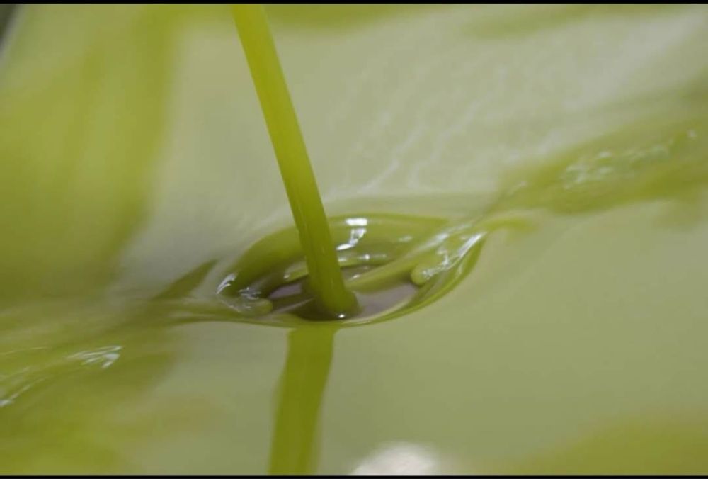 Ulei de măsline extra virgin